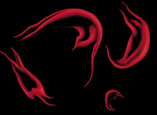 Artist’s impression van sikkelcellen. Bij iemand met sikkelcelziekte klontert het hemoglobine samen als het zuurstofgehalte in het bloed laag is. Daardoor verliezen de rode bloedcellen hun ronde vorm. beeld: ANP Photo 