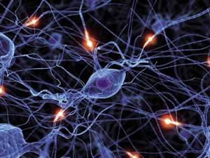 Hersenscans hebben aangetoond dat psychoanalyse de structuur van het brein kan veranderen. beeld: iStockphoto