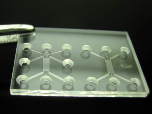 Een lab-on-a-chip. beeld: TU Twente