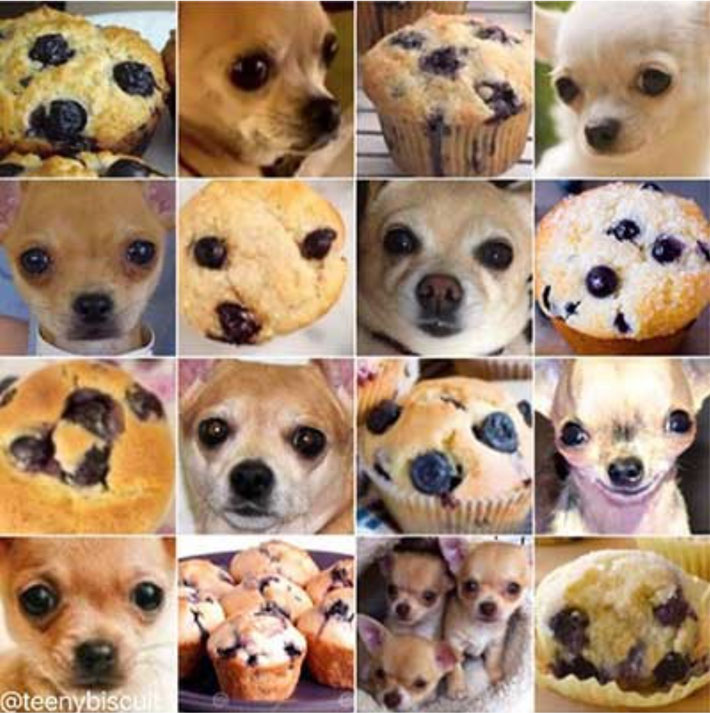 3. Chihuahua or muffin-test | AI is niet foutloos; de gelijkenis tussen chihuahua’s en muffins schept verwarring.