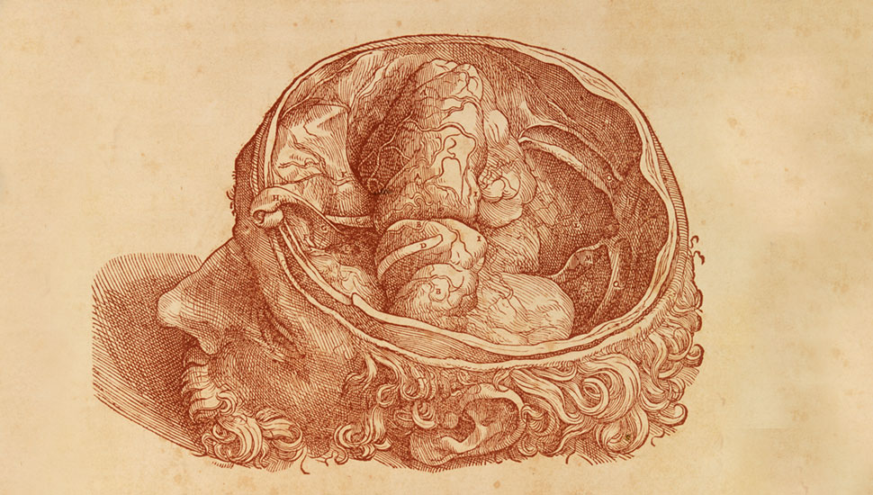 Illustratie door Andreas Vesalius uit De humani corporis fabrica libri septem (Zeven boeken over de bouw van het menselijk lichaam), 1542-1543. beeld: Getty Images