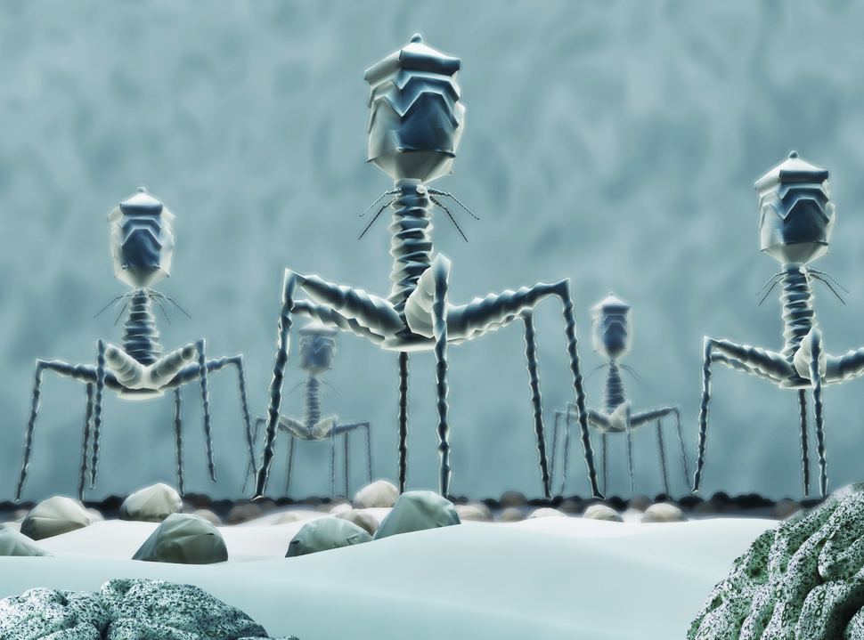 T4- bacteriofagen die een bacterie infecteren. 3D rendering (getty images)