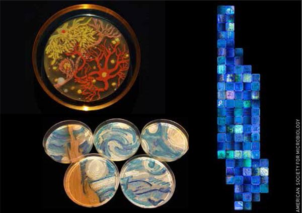 Linksboven: Neurons, linksonder: Starry nights, en rechts: New York City Biome Map