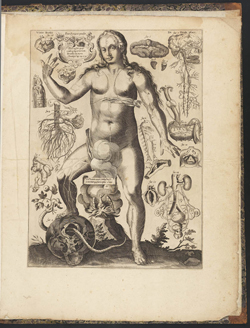 Anatomische pop-up prent van de hand van Stephanus Spacherus. Een mystieke interpretatie van het menselijk lichaam met opmerkelijk accurate afbeeldingen van de inwendige organen.