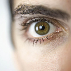 Eye Movement Desensitization and Reprocessing (EMDR) is een therapie voor mensen die last blijven houden van traumatische ervaringen. Terwijl de patiënt terugdenkt aan de gebeurtenis, leidt de theapeut hem af met bijvoorbeeld een bewegende hand. beeld: Corbis 