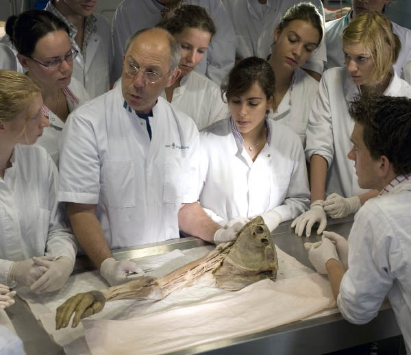 Anatomieonderwijs op de Radboud Universiteit in Nijmegen. Beeld: Frank Muller, HH