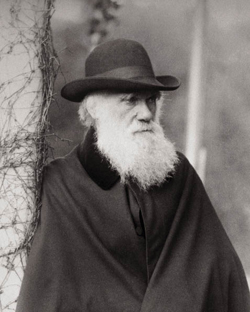 Darwins evolutietheorie kan wel richting geven aan de psychiatrische theorie, maar niet aan de psychiatrische praktijk. beeld: Corbis