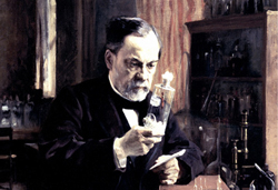 Louis Pasteur aan het werk in zijn laboratorium. beeld: Getty Images