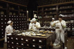 Een traditionele Chinese apotheek, waar voor iedere patiënt een uniek mengsel van kruiden wordt gemaakt. beeld: Corbis