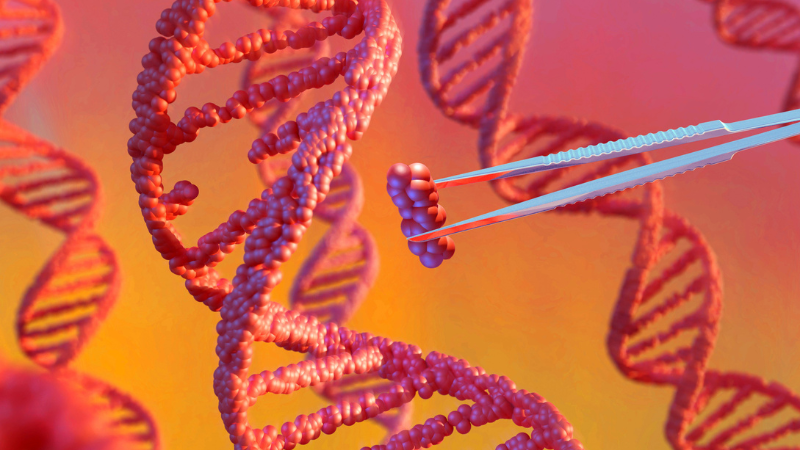 Scoperta nel trattamento CRISPR-Cas9 per le malattie genetiche
